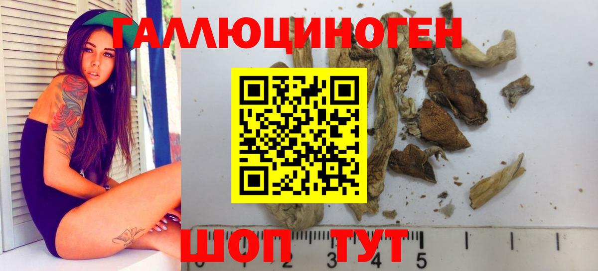 Псилоцибиновые грибы мицелий Лысьва